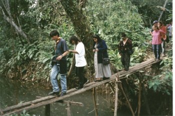 Bananaplantation, Villa Tunari